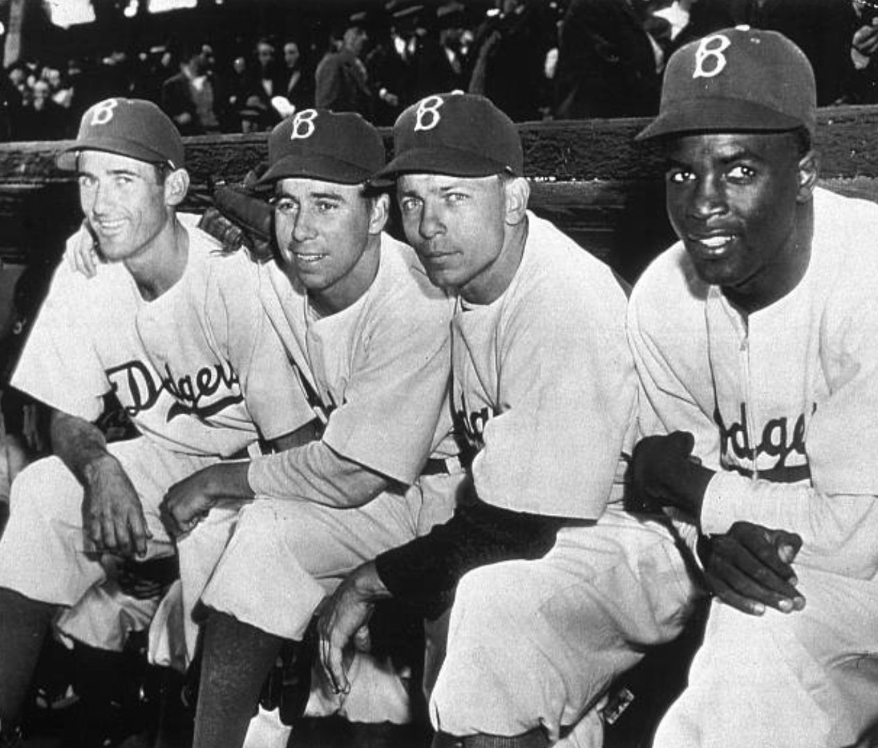 The 1947 Brooklyn Dodger infield was composed of (L-R) John Jorgenson, Pee Wee Reese, Eddie Stanky, and Jackie Robinson (SABR-RUCKER ARCHIVE)